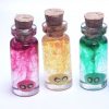 Zelda Poe Soul in a Bottle Necklace